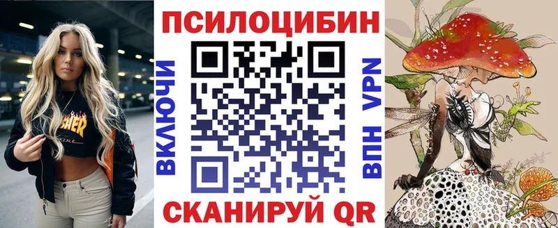 где купить наркоту  маркетплейс телеграм  Псилоцибиновые грибы GOLDEN TEACHER  Камышлов 