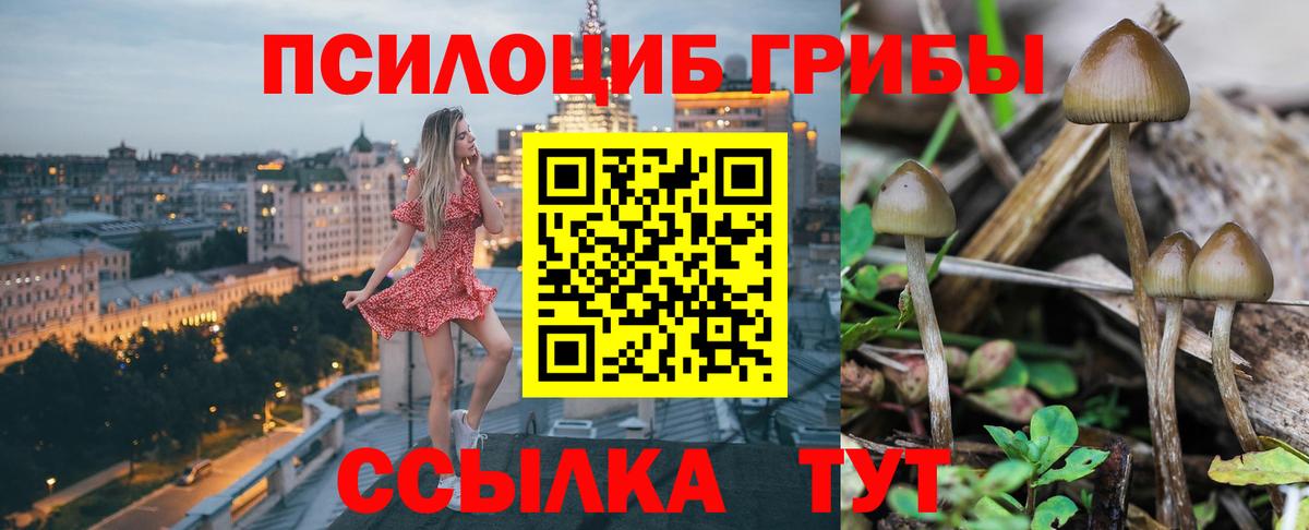 Псилоцибиновые грибы GOLDEN TEACHER Камышлов
